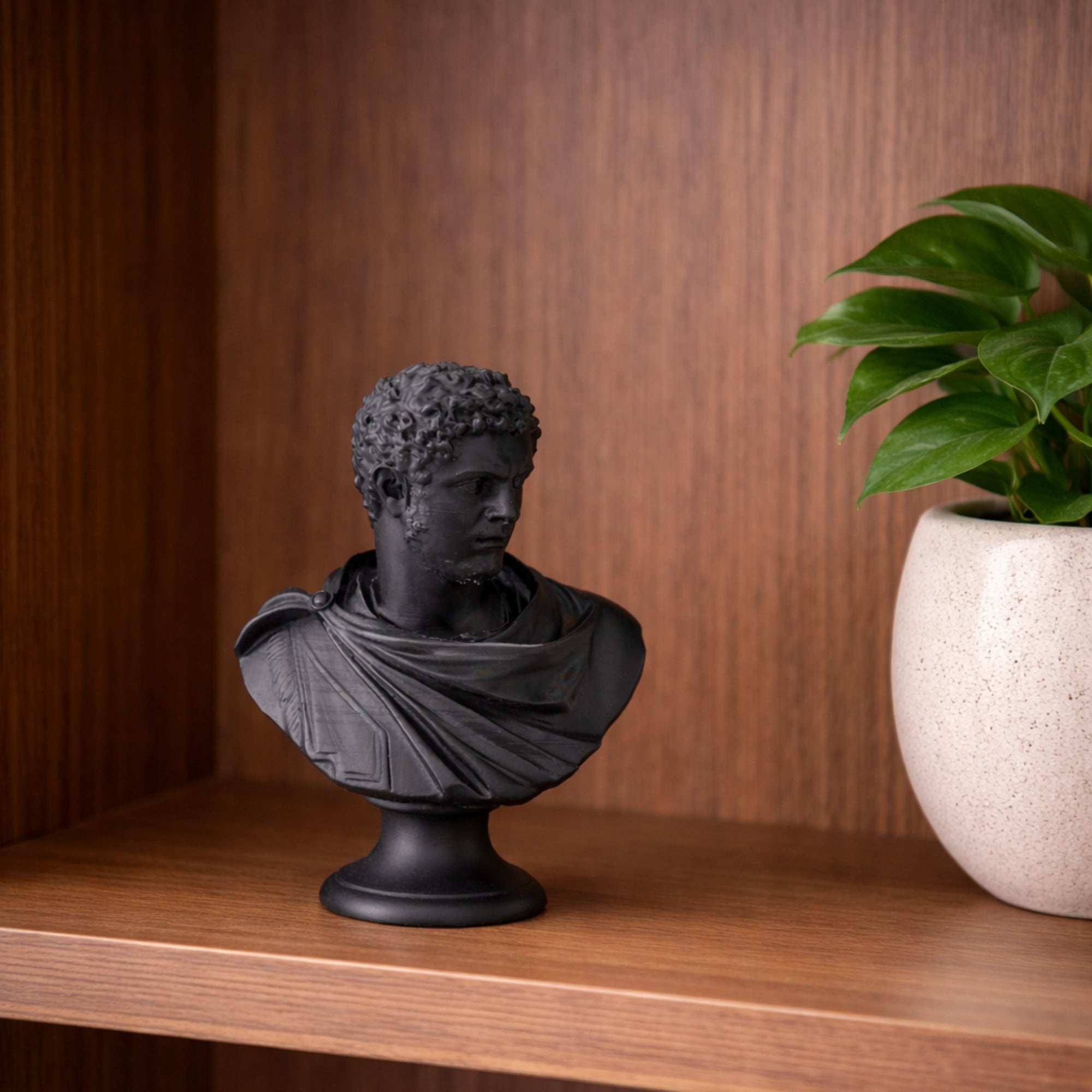 Busto de Caracalla en 3D