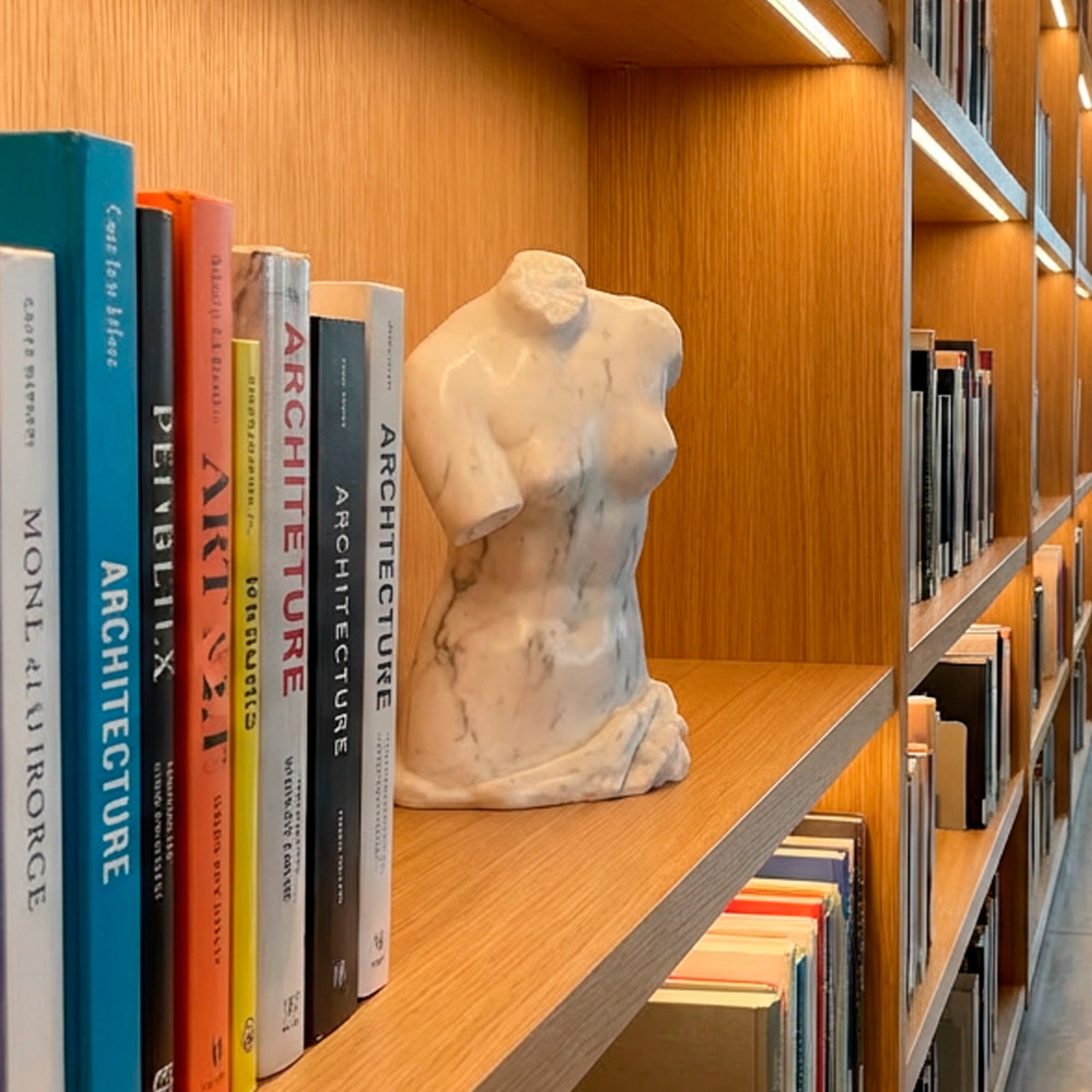 Torso di Venere tra scaffali in una biblioteca moderna.