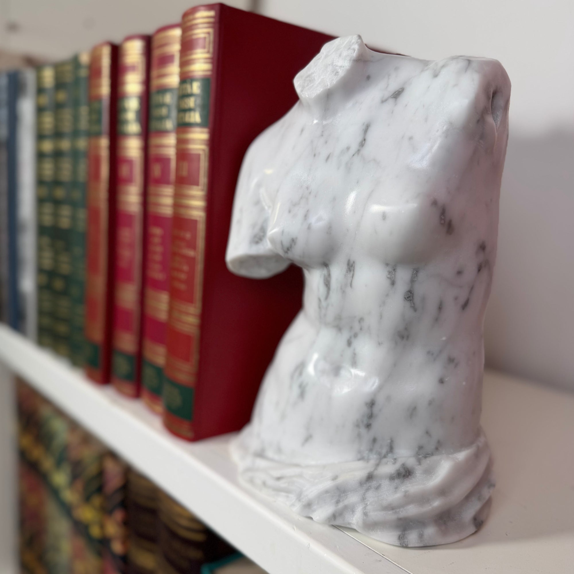 Torso di Venere in marmo di Carrara su libreria con volumi classici.