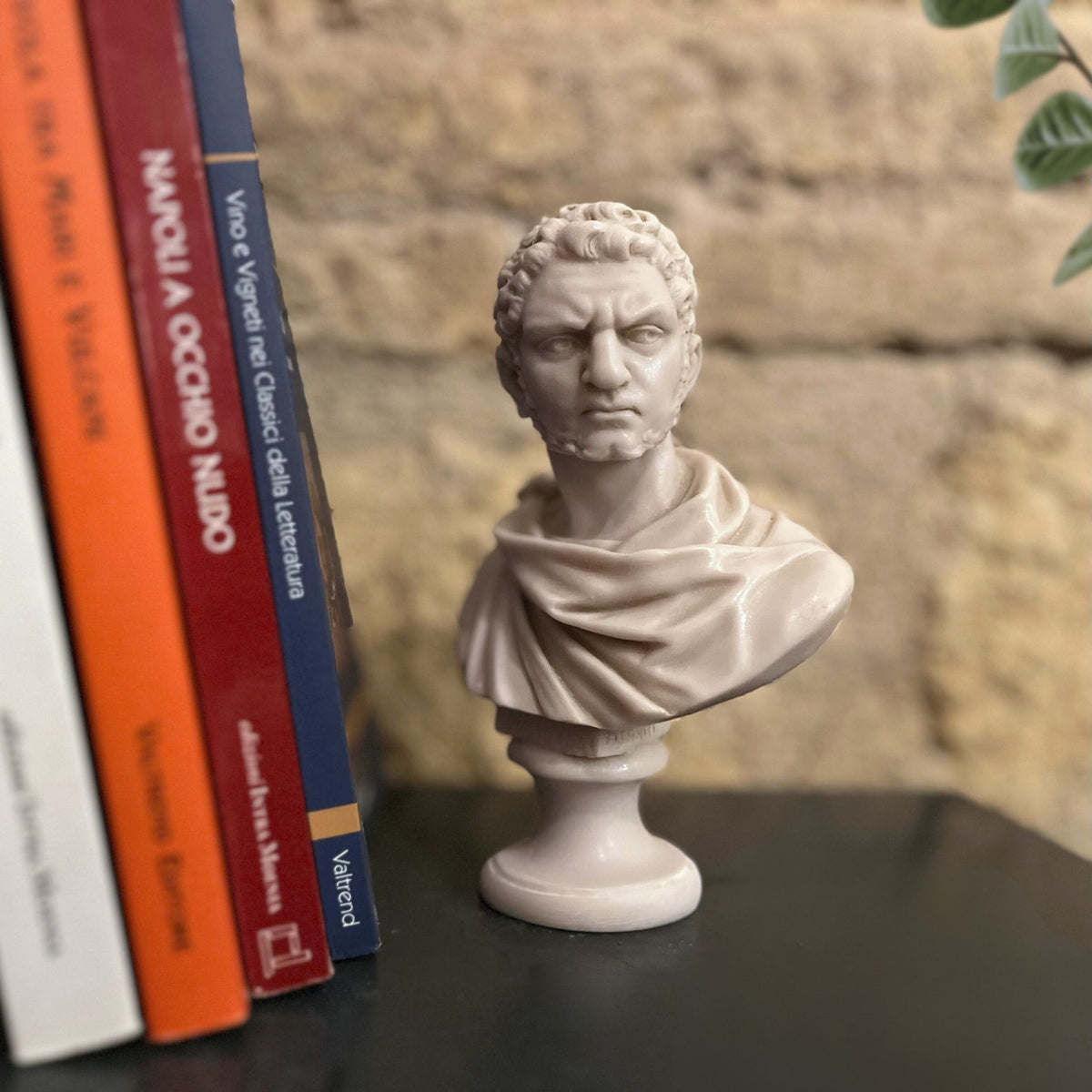Busto di Caracalla in marmo di Carrara ricomposto, su un ripiano accanto a libri e davanti a una parete in pietra.