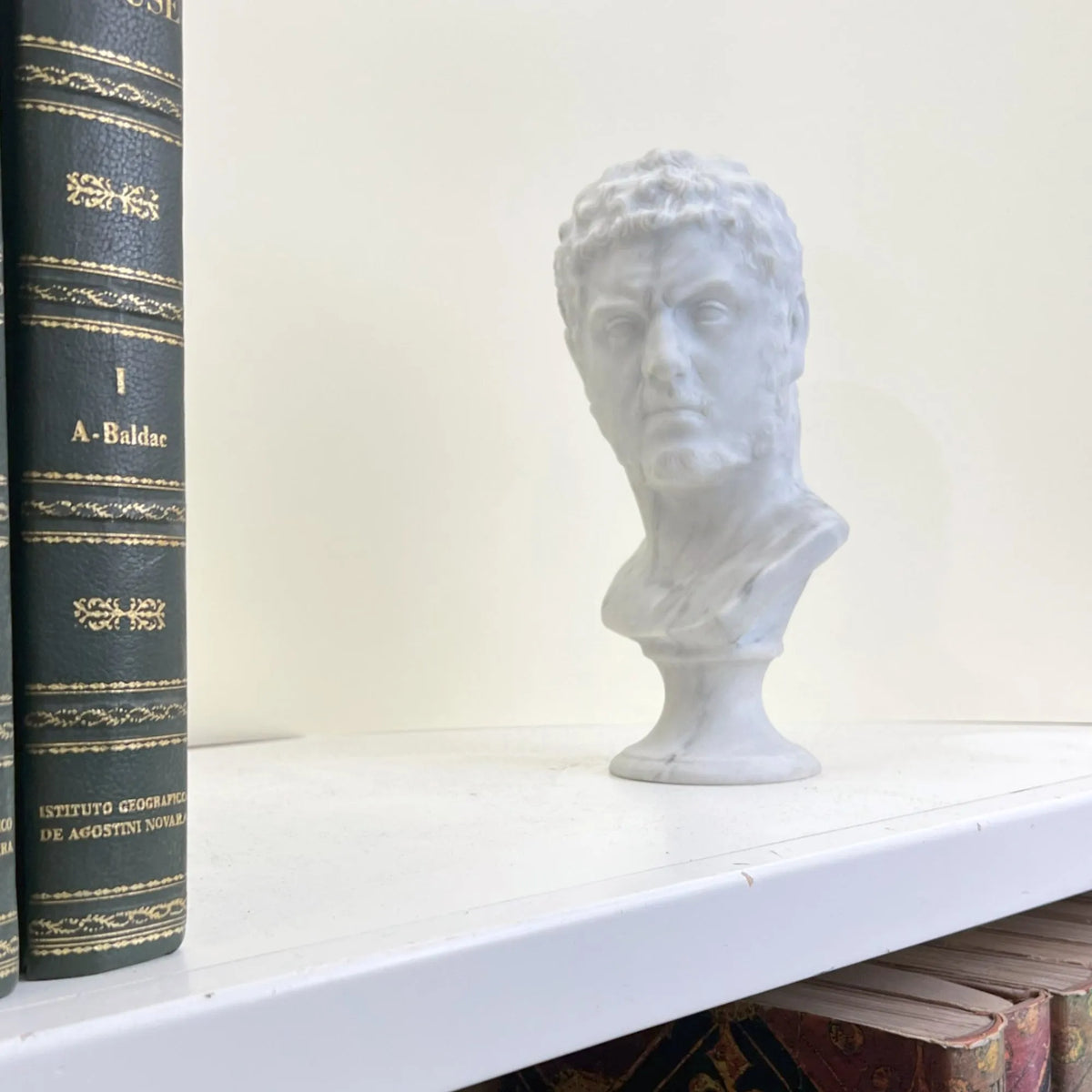Busto dell’imperatore Caracalla in marmo bianco di Carrara, vista a tre quarti in una libreria.