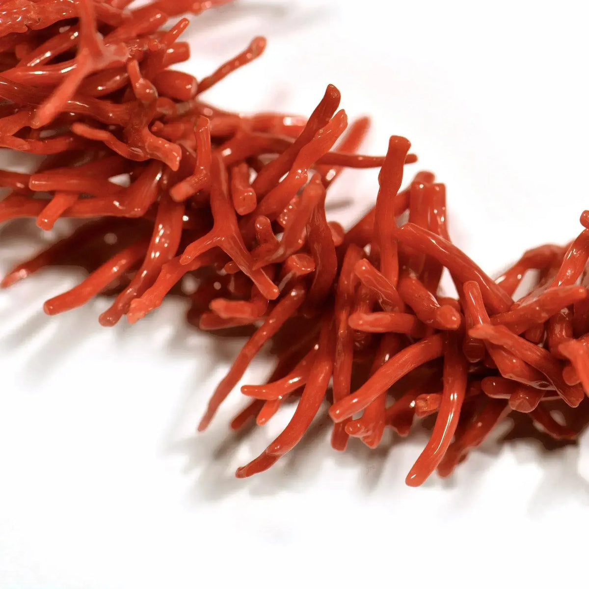 Collier branche de corail et argent 925