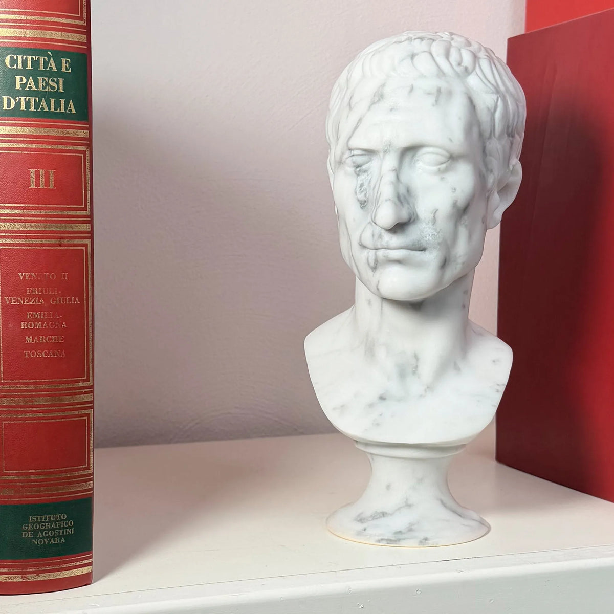 Busto di Giulio Cesare in marmo bianco di Carrara, vista frontale in una libreria.