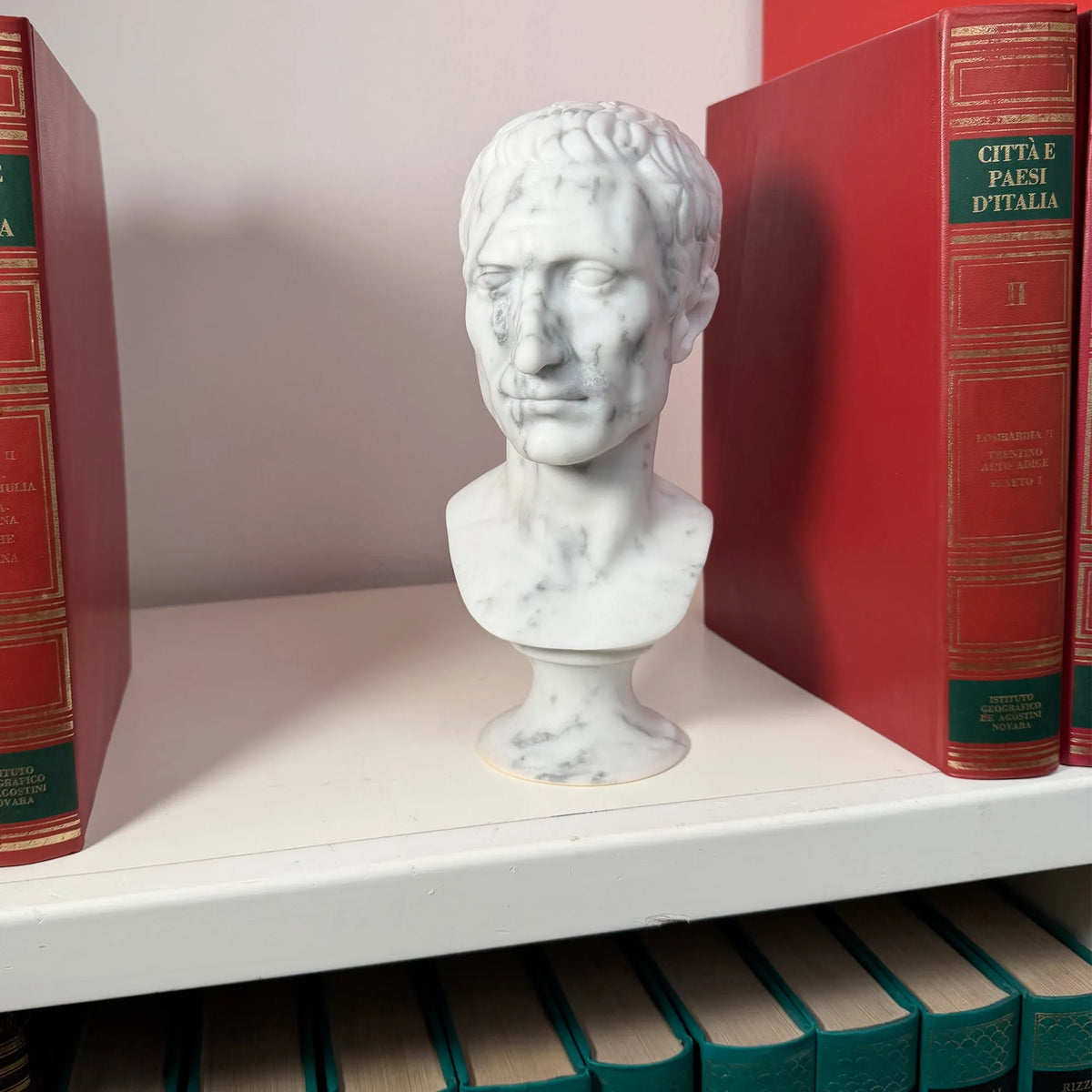 Busto di Giulio Cesare in marmo bianco di Carrara, vista frontale in una libreria.