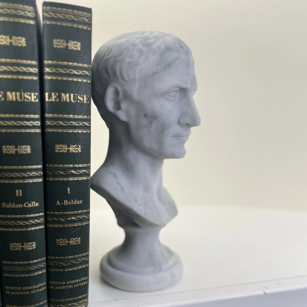 Busto di Giulio Cesare in marmo bianco di Carrara, vista laterale in una libreria.