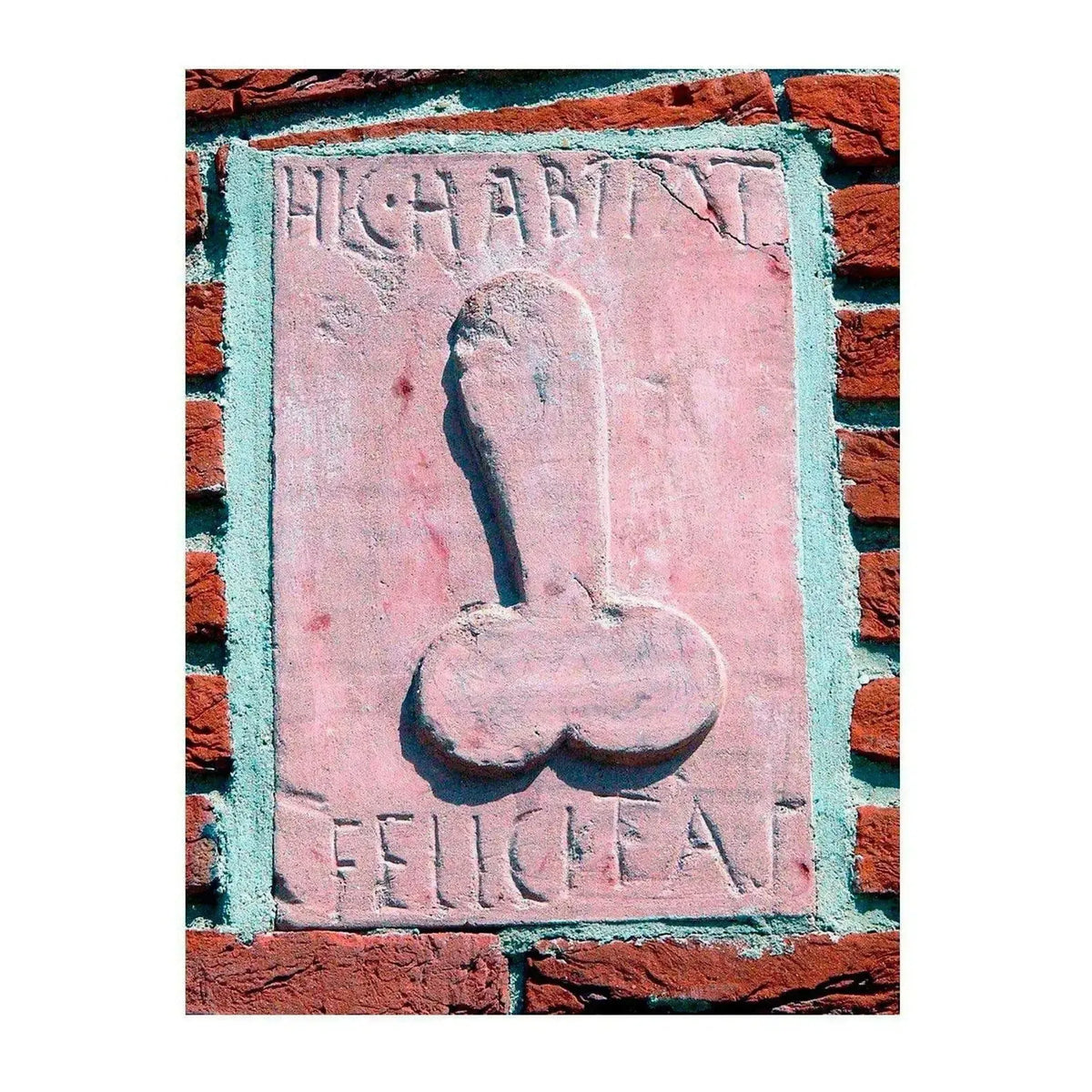 Stampa 3D di Pompei - Here Habitat Felicity, calamity