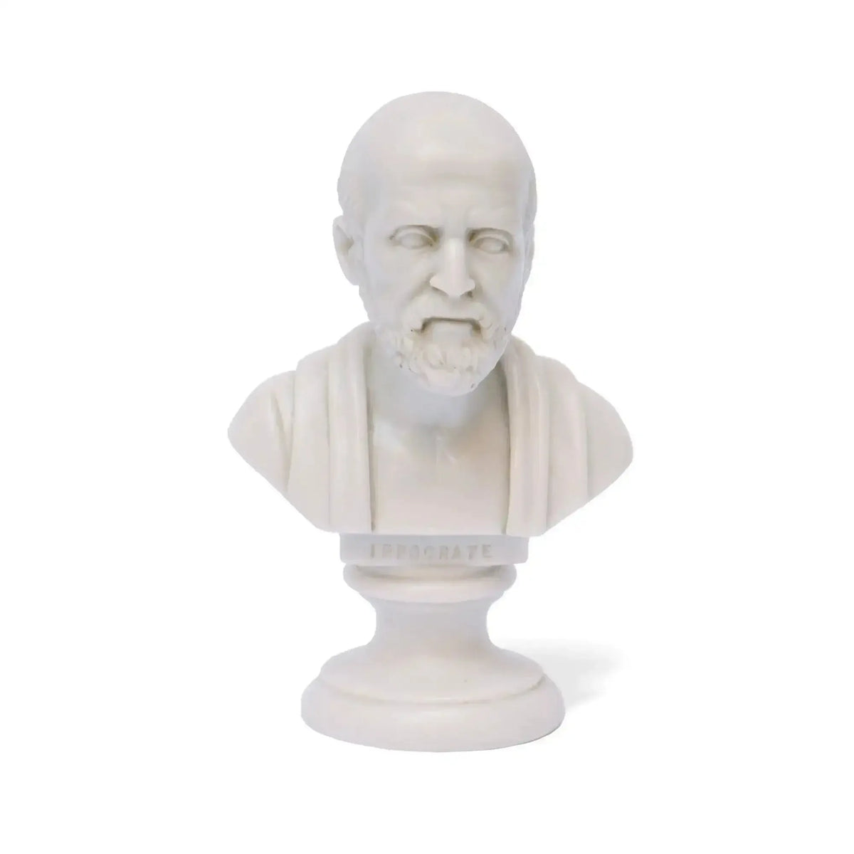 Busto di Ippocrate in marmo ricomposto, con barba e fronte calva, su piedistallo circolare e fondo bianco.