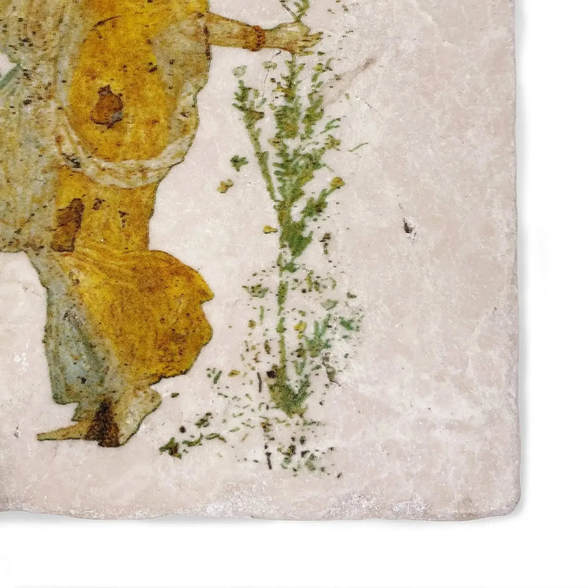 Flora di Stabiae marble tile.