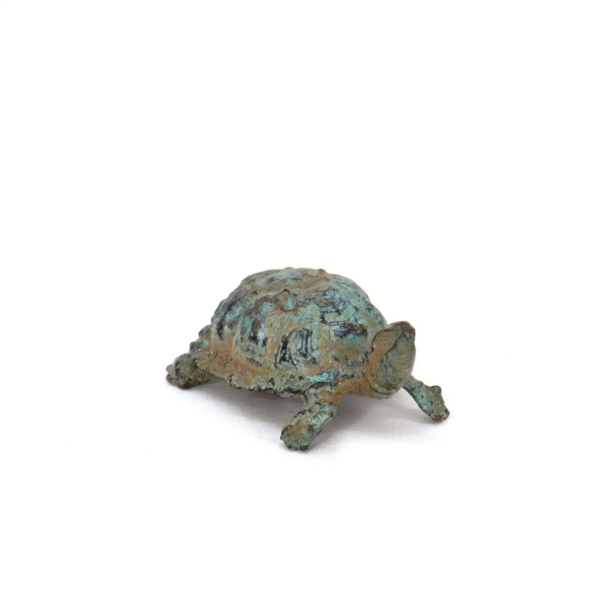Tartaruga in bronzo con patina verde, vista di tre quarti con testa alzata e guscio decorato, su fondo bianco.
