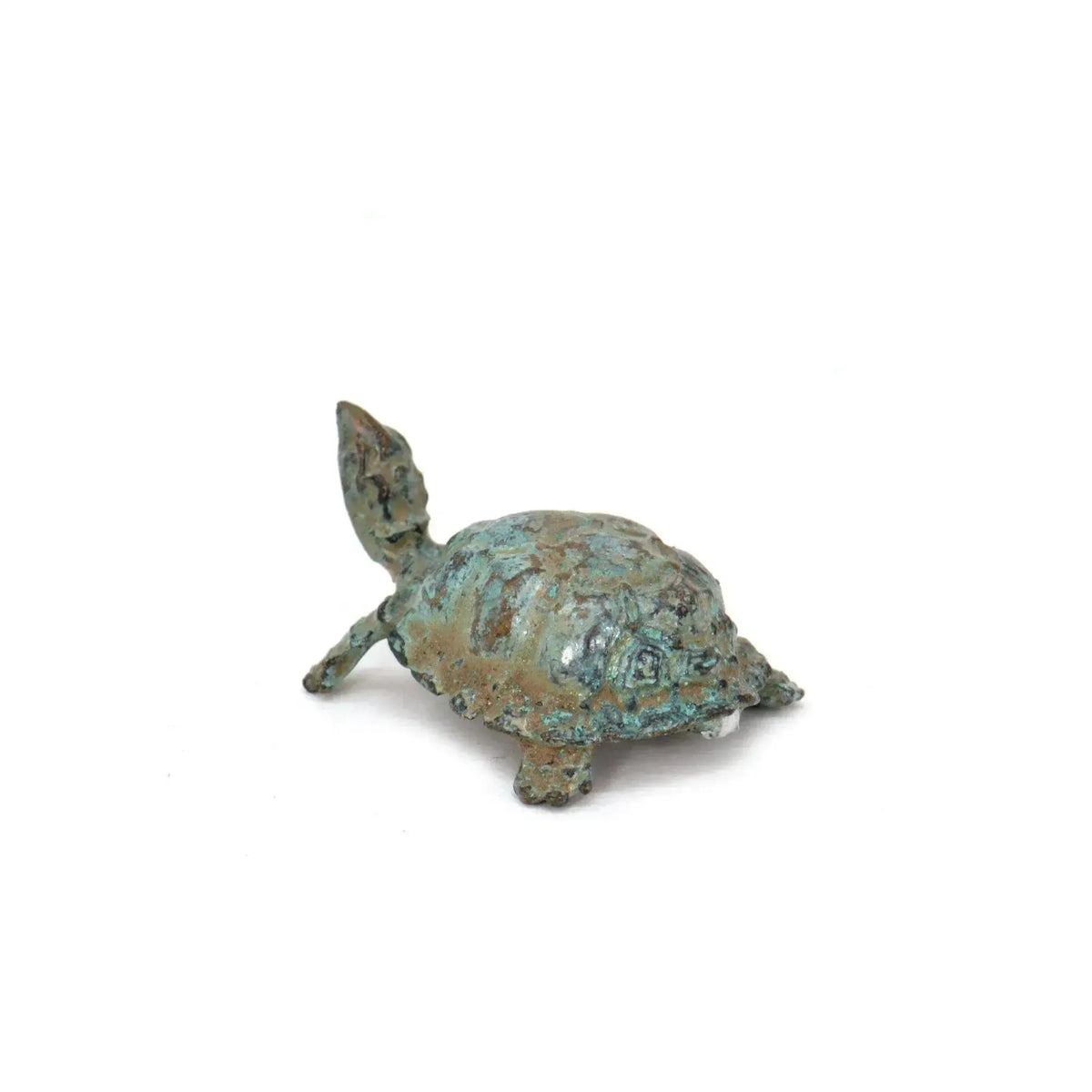 Tartaruga in bronzo con patina verde, vista da dietro con dettagli del guscio e delle zampe, su fondo bianco.