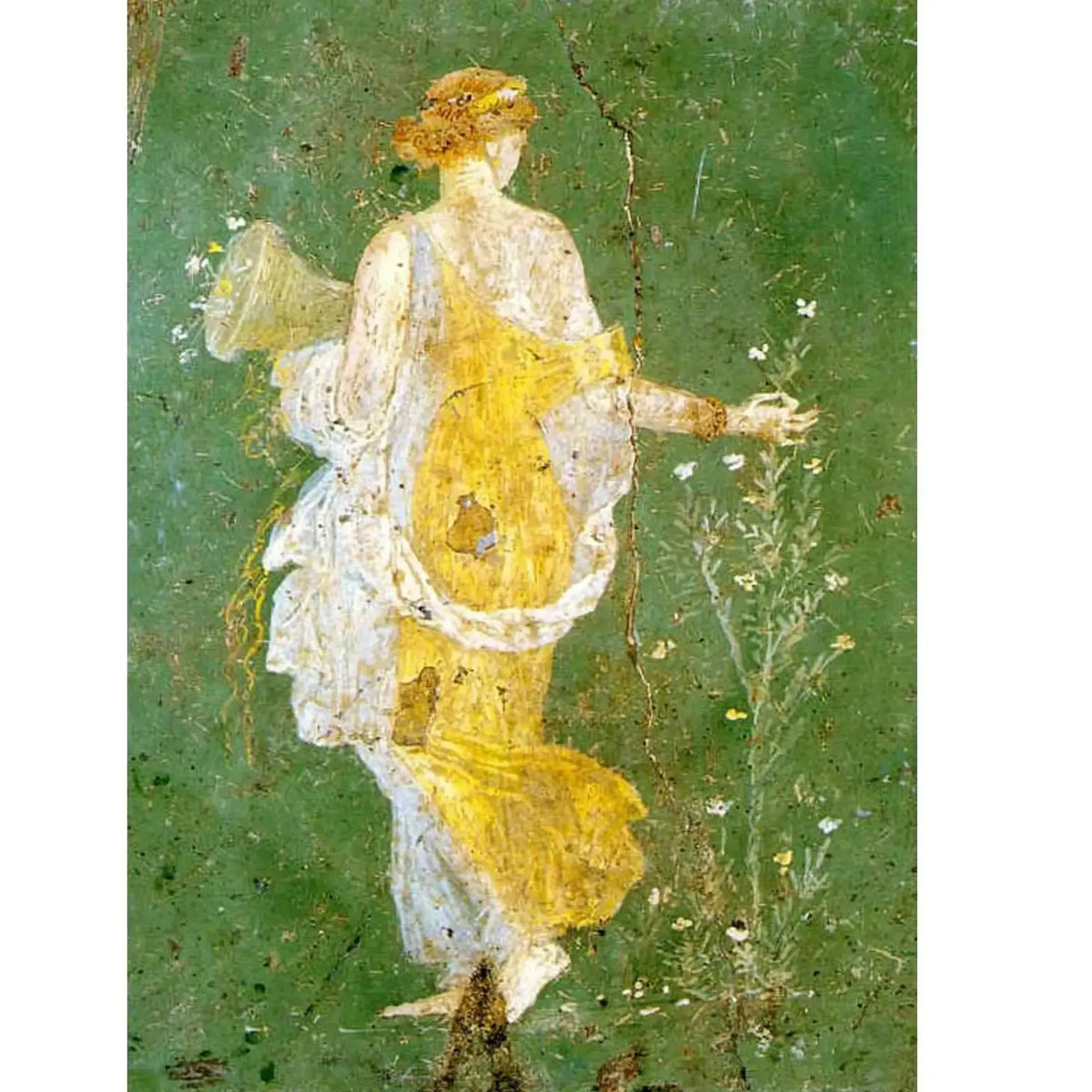 Flora Cloth of Stabiae