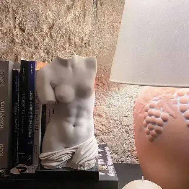 Torso della Venere di Milo in marmo, accanto a libri e una lampada