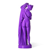 Aphrodite Callipygia - Statue 3D printed