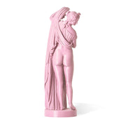 Venus Aphrodite Callipigia 3d Printed