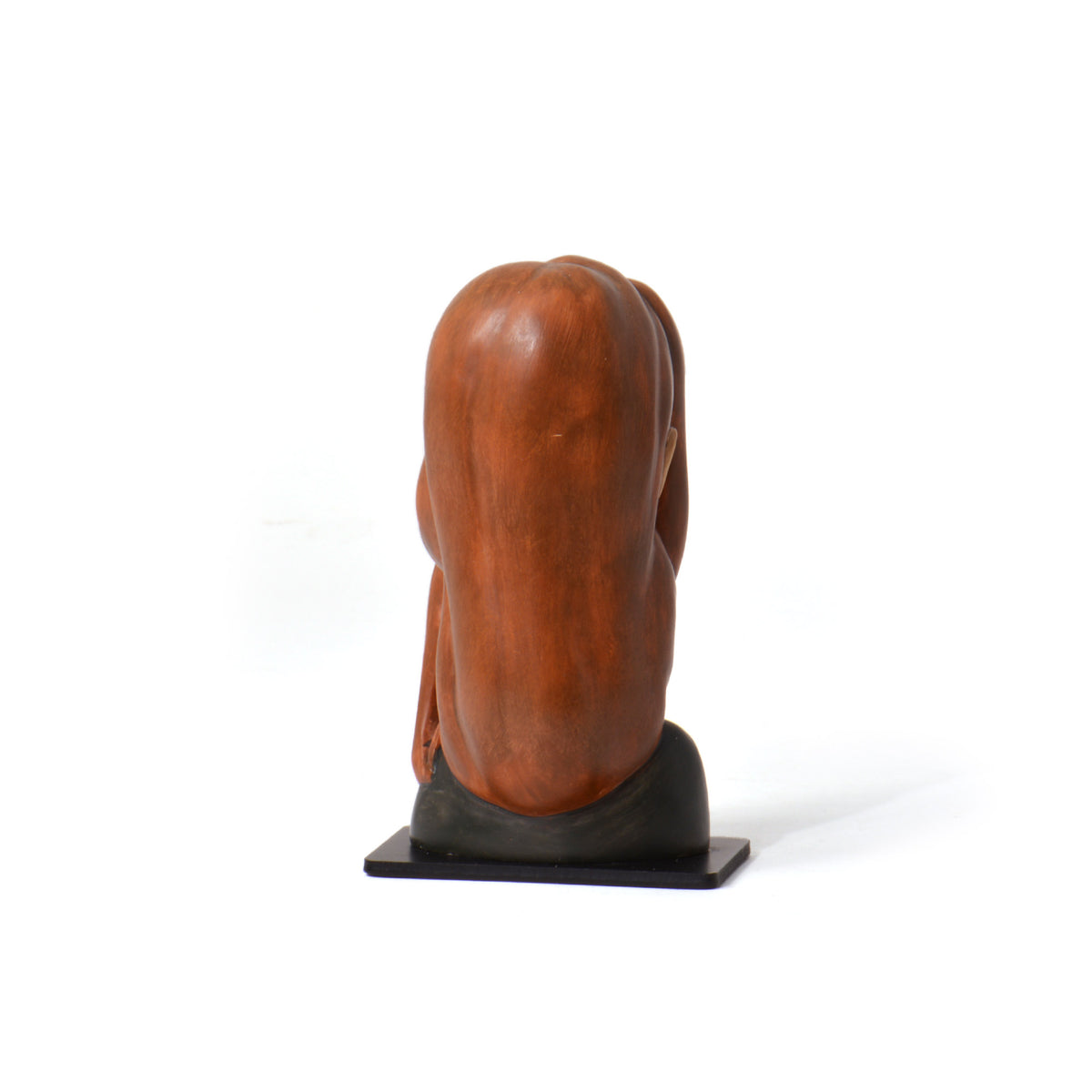 Retro del busto di Jeanne Hébuterne, con capelli castani e base nera